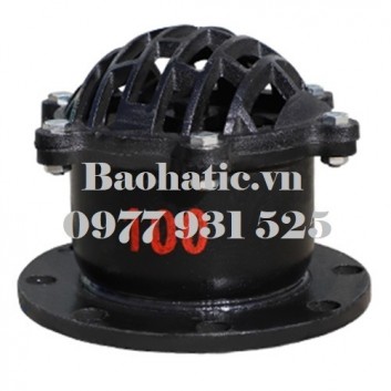 Rọ bơm gang D350, Rọ bơm mặt bích D350, Rọ bơm D350